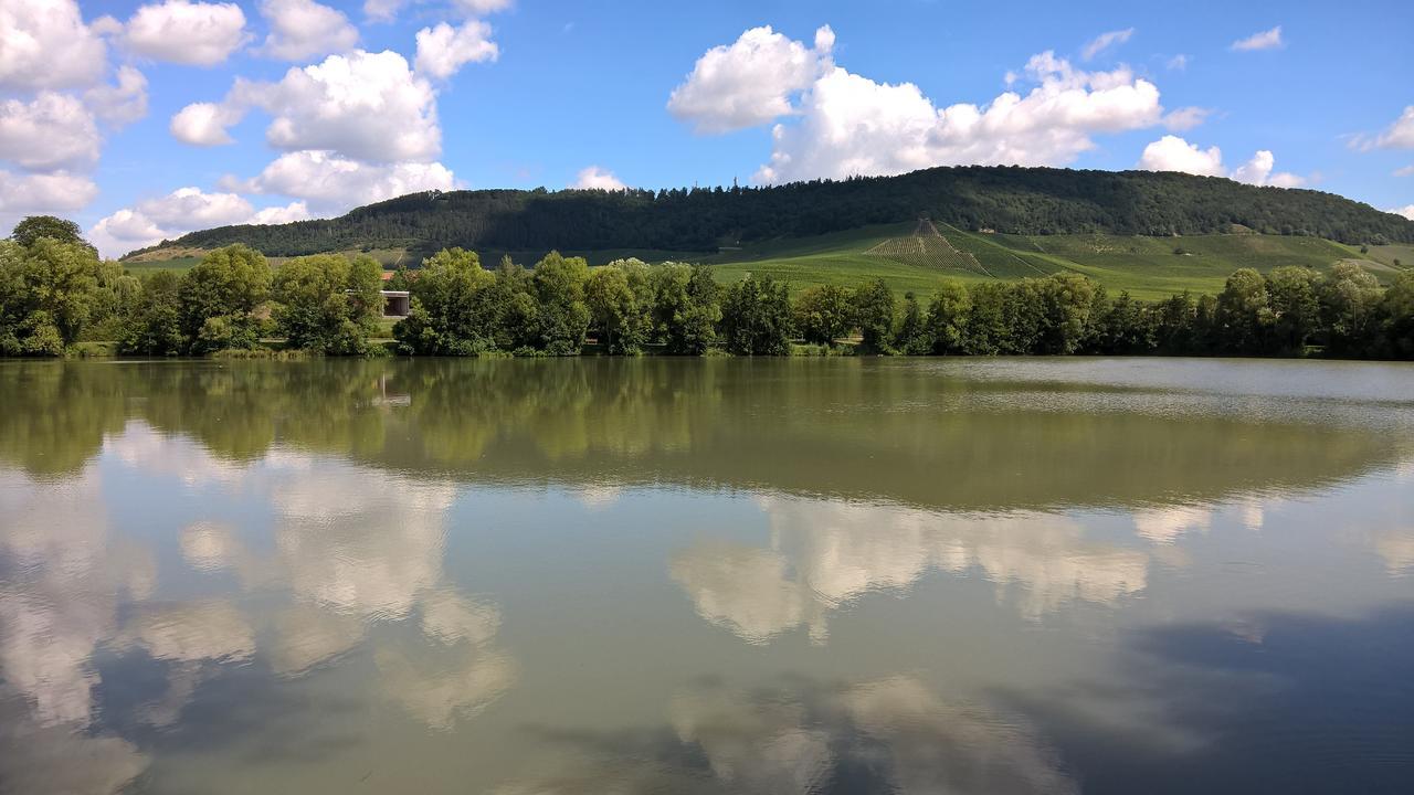 Das Kleine Hotel Iphofen, Fruehstueckszauber, No Waste, Nachhaltig, Nahe Aller Weingueter, Knauf Gips Kg Und Connekt, Kleines Secret Mit Garten & Terrassen, Tv Mirrorring, 55" Tv, Fine Dining, Hunde Willkommen 外观 照片