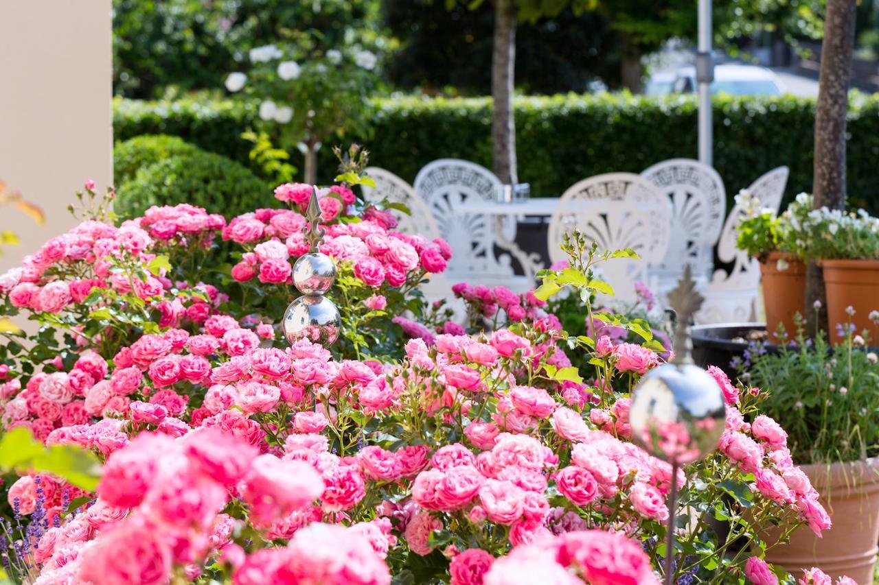 Das Kleine Hotel Iphofen, Fruehstueckszauber, No Waste, Nachhaltig, Nahe Aller Weingueter, Knauf Gips Kg Und Connekt, Kleines Secret Mit Garten & Terrassen, Tv Mirrorring, 55" Tv, Fine Dining, Hunde Willkommen 外观 照片