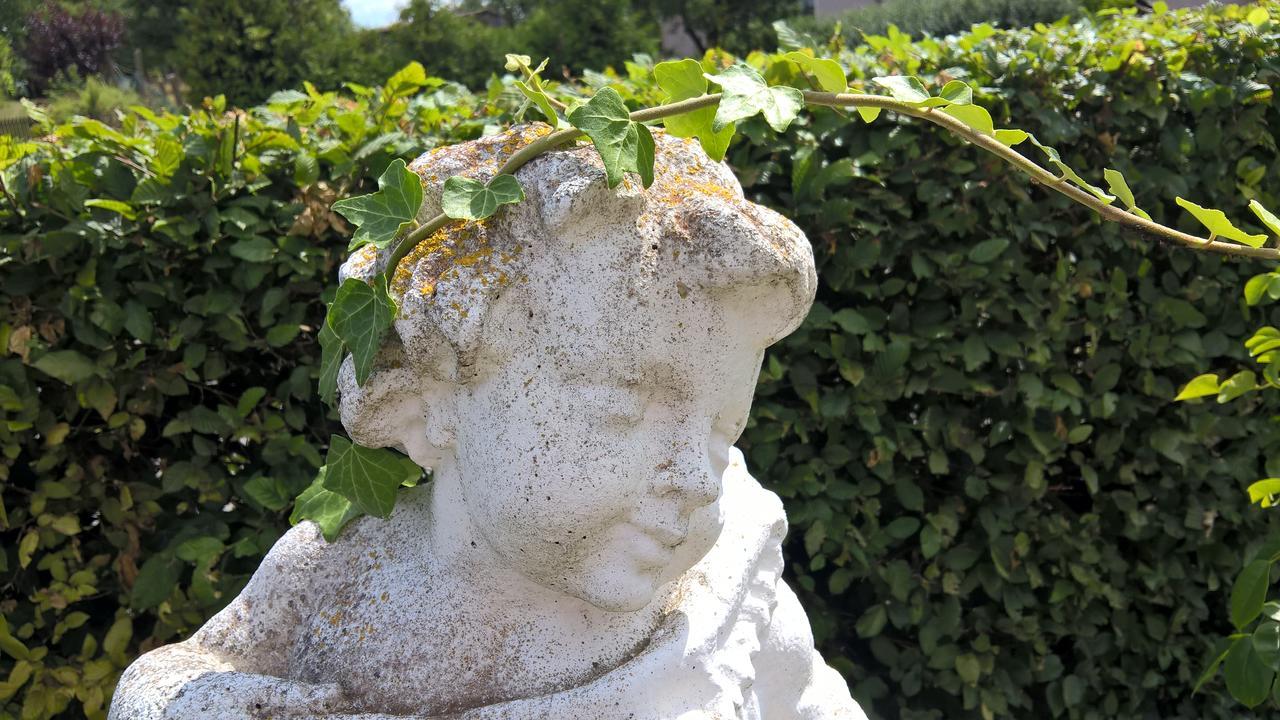 Das Kleine Hotel Iphofen, Fruehstueckszauber, No Waste, Nachhaltig, Nahe Aller Weingueter, Knauf Gips Kg Und Connekt, Kleines Secret Mit Garten & Terrassen, Tv Mirrorring, 55" Tv, Fine Dining, Hunde Willkommen 外观 照片