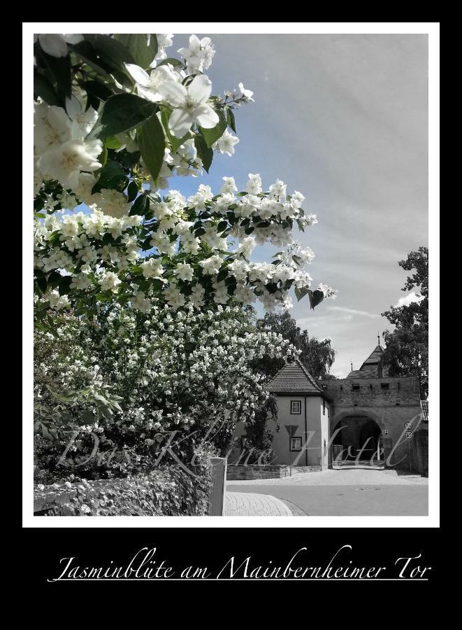 Das Kleine Hotel Iphofen, Fruehstueckszauber, No Waste, Nachhaltig, Nahe Aller Weingueter, Knauf Gips Kg Und Connekt, Kleines Secret Mit Garten & Terrassen, Tv Mirrorring, 55" Tv, Fine Dining, Hunde Willkommen 外观 照片